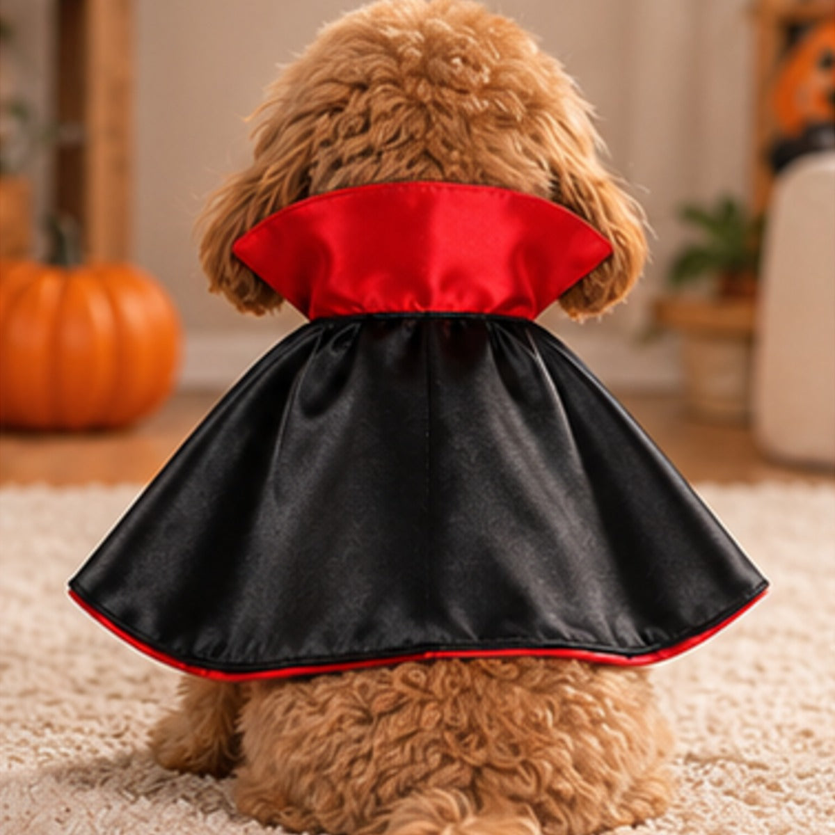 Vampire Cape Pet Costume, high-collared Halloween cape for dogs and cats (photo 3 of 8)