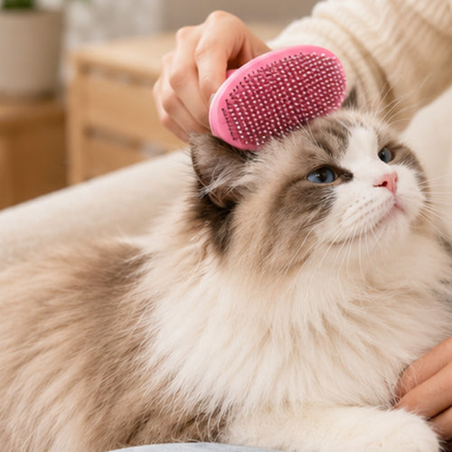Cat Grooming Kit with slicker brush, flea comb, bath brush and nail clippers (photo 1 of 9)