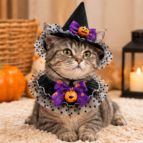 Cat Witch Hat & Collar Set, pointed witch hat and ruffled pumpkin collar for cats (photo 1 of 9)