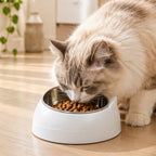 Tilted Steel Cat Bowl, stainless steel bowl on a raised 15° tilted stand (photo 1 of 10)