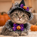 Cat Witch Hat & Collar Set, pointed witch hat and ruffled pumpkin collar for cats (photo 9 of 9)